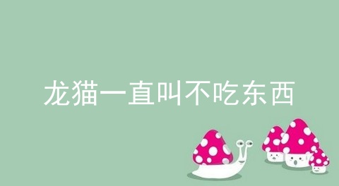 龙猫一直叫不吃东西_龙猫不吃东西无精打采_龙猫突然不吃东西 便秘