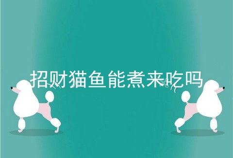 招财猫鱼能煮来吃吗_招财猫鱼肉能吃吗_招财猫鱼死了人能吃吗