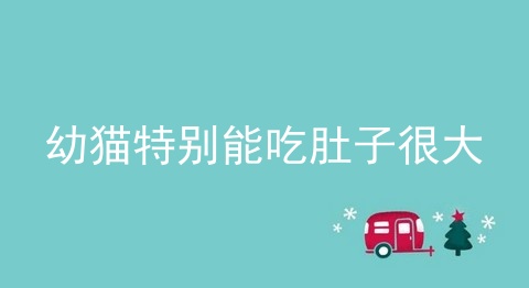 幼猫特别能吃肚子很大_幼猫_一般幼猫不吃不喝能活多久