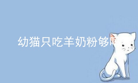幼猫只吃羊奶粉够吗_一般宠物猫吃羊奶粉会呕吐吗_小猫喜欢喝羊奶粉吗