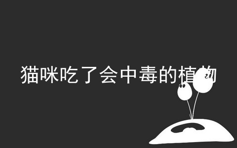 猫咪吃了会中毒的植物_会使猫咪中毒的东西_适合室内养的植物对猫咪无害