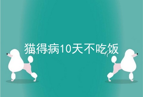 猫得病10天不吃饭_猫的寿命_世界十大禁养名猫