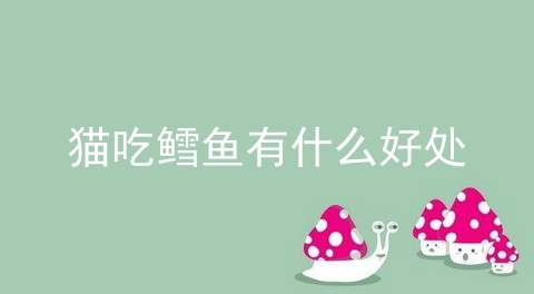 猫吃鳕鱼有什么好处_猫千万不能吃鳕鱼_猫可以吃鳕鱼吗
