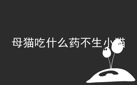 母猫吃什么药不生小猫_母猫生小猫后吃的少喝得少_母猫不吃东西