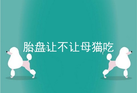 胎盘让不让母猫吃_母猫胎盘不吃就扔掉吗_母猫不吃胎盘不咬脐带