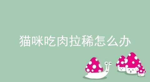 猫咪吃肉拉稀怎么办_猫咪拉稀_猫拉稀怎么办