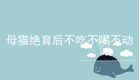 母猫绝育后不吃不喝不动_母猫绝育后不吃不喝_母猫绝育后4天了不吃不喝嗜睡