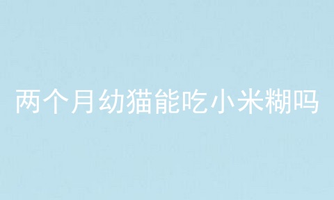 两个月幼猫能吃小米糊吗_一般幼猫不吃不喝能活多久_幼猫带回家三天几乎没吃饭
