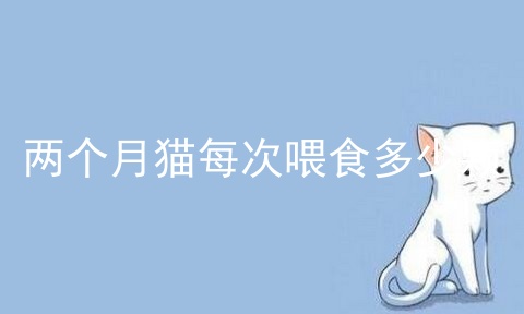 两个月猫每次喂食多少颗_猫的喂食时间和次数_猫吃食