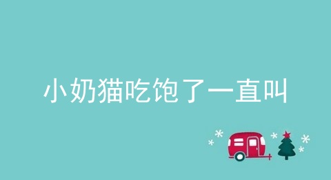 小奶猫吃饱了一直叫_如何判断小奶猫吃饱_猫肚子圆鼓鼓是不是就代表吃饱了