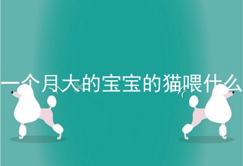 一个月大的宝宝的猫喂什么_最适合小孩养的五种猫_猫吃什么下奶最快最多
