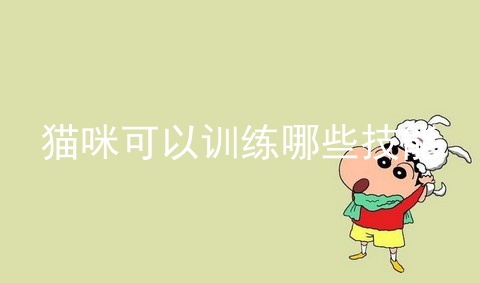 猫咪可以训练哪些技能_猫咪多大可以训练_如何训练猫咪上马桶方法图片
