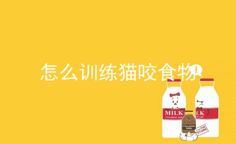 怎么训练猫咬食物_怎么训练猫不怕人_猫咬人怎么教训它