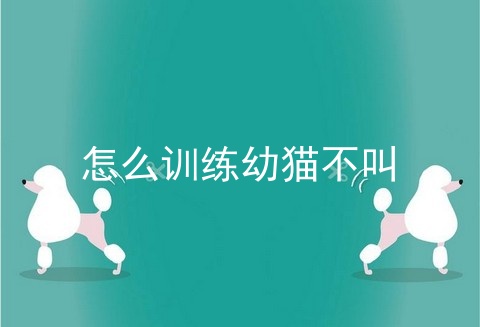 怎么训练幼猫不叫_如何训练幼猫晚上不叫_怎样快速的让猫不叫