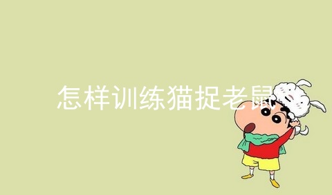 怎样训练猫捉老鼠_如何让猫捉老鼠_猫如何抓老鼠