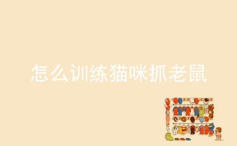 怎么训练猫咪抓老鼠_猫抓老鼠的图片大全_猫逮老鼠