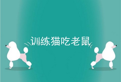 训练猫吃老鼠_猫吃不吃老鼠_猫吃老鼠不怕细菌吗