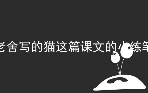 老舍写的猫这篇课文的小练笔_仿写老舍的猫写一篇小狗的作文_猫这篇课文的主要内容