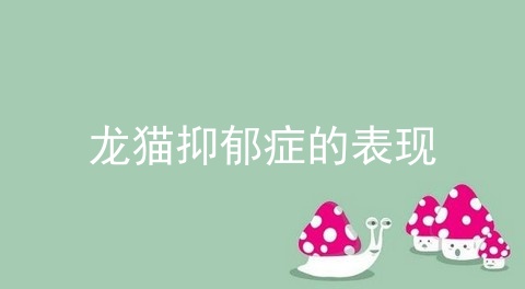 龙猫抑郁症的表现_比熊生气的表现_比熊抑郁症是什么表现
