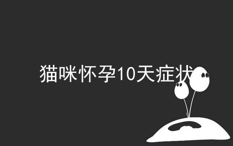 猫咪怀孕10天症状_猫咪怀孕的症状_猫怀孕每周的症状