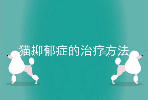 猫抑郁症的治疗方法_猫抑郁症的表现_猫的抑郁症的10个前兆