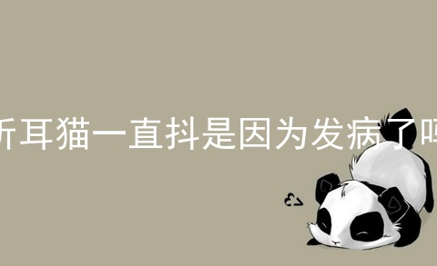 折耳猫一直抖是因为发病了吗_折耳猫一定会发病吗_折耳猫