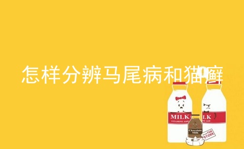 怎样分辨马尾病和猫癣_猫马尾病怎么治疗_猫咪马尾病