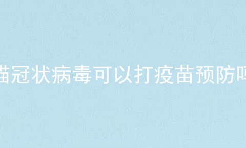猫冠状病毒可以打疫苗预防吗