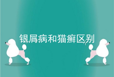 银屑病和猫癣区别_猫虱子什么样_猫身上的寄生虫