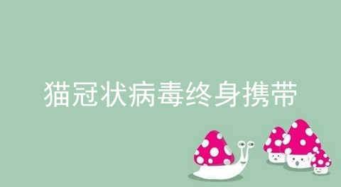 猫冠状病毒终身携带_猫冠状病毒早期症状_猫冠状病毒怎么治疗