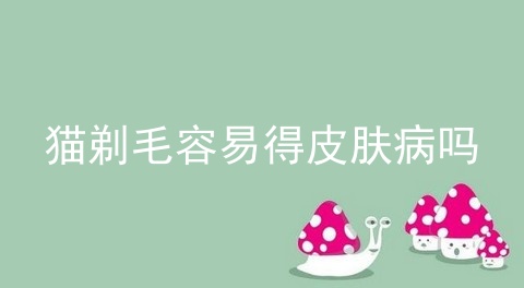 猫剃毛容易得皮肤病吗_猫剃毛多久能长出来_宠物店2018年猫剃毛价格表