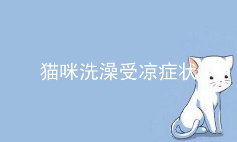 猫咪洗澡受凉症状_猫咪受凉了呕吐怎么办_猫咪受凉呕吐会自愈吗