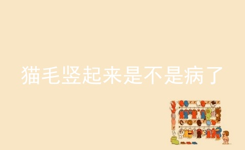猫毛竖起来是不是病了_猫发怒毛竖起来的图片_猫的毛竖起来说明什么