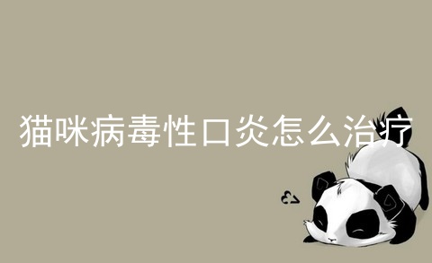猫咪病毒性口炎怎么治疗_猫口炎最佳治疗方法_猫口炎