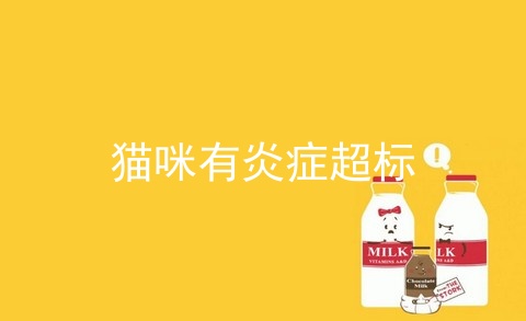 猫咪有炎症超标_猫咪体内有炎症会死吗_猫咪体内有炎症用什么药